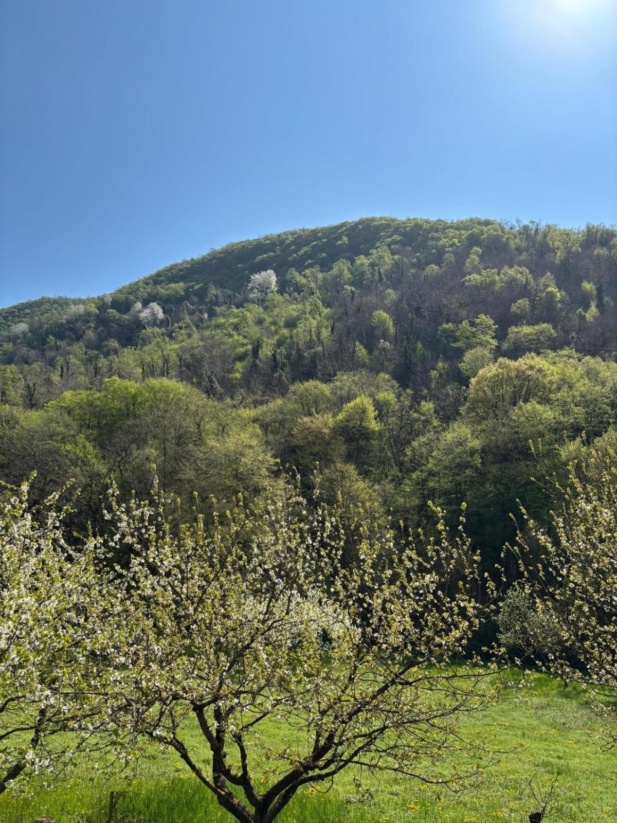 Biancogelso B&B Vegan Gardone Riviera Exteriör bild