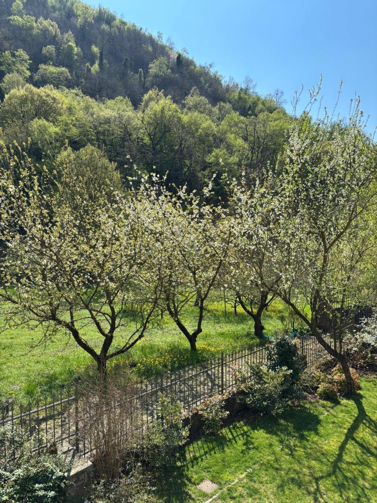 Biancogelso B&B Vegan Gardone Riviera Exteriör bild